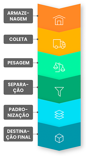 mobile-processo